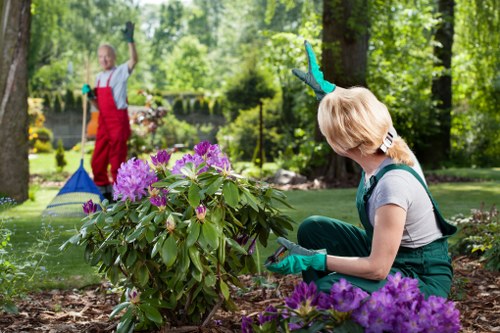 Tree removal pricing for a Victorian terrace garden