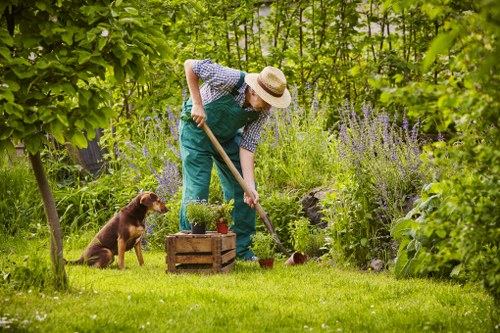 Tree surgeons team working ethically under modern slavery prevention measures