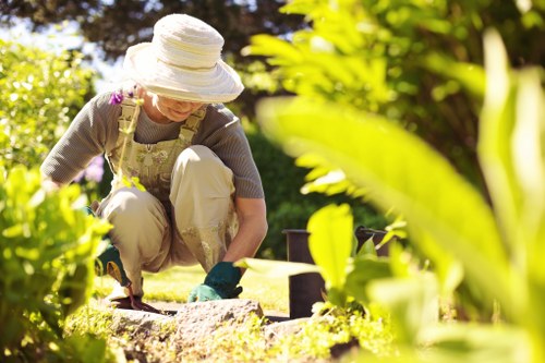 Free no-obligation quote for Southwark tree surgery