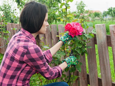 Supplier audit checklist for arboricultural services in Southwark
