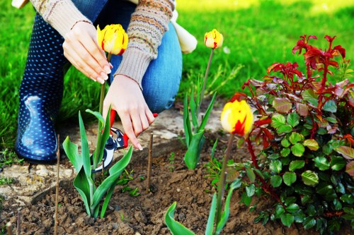 Southwark tree surgery service for homes, estates, and commercial premises